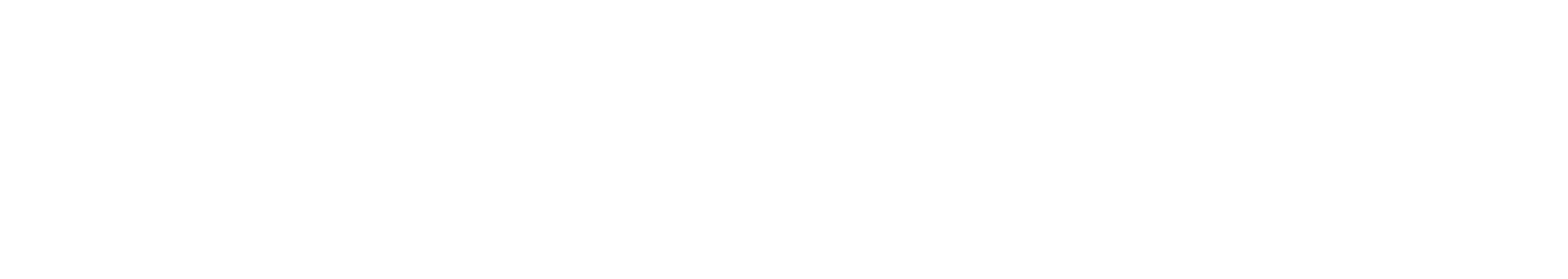 Logo Hotel Souvenir
